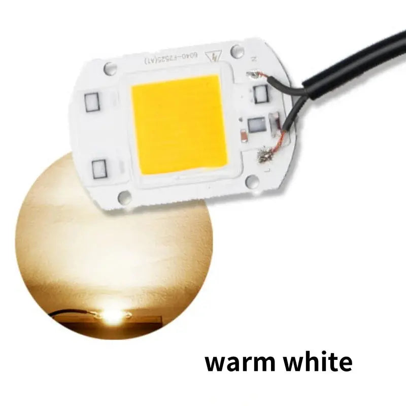 5pcs LED Chip COB lampr 20W 30W 50W AC 110V 220V No Need Driver DIY Flood light Spotlight Cold Warm White Outdoor Lamp Bead Lighting Depot