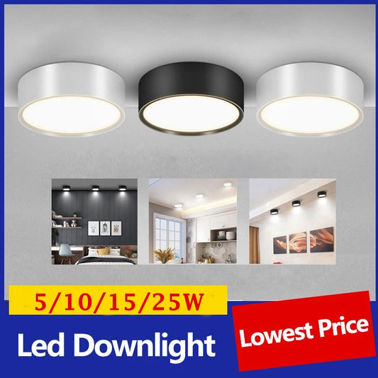 Led Downlight 25W 30W spot led light Surface Mounted Ceiling Lamp Kitchen Lamp Indoor Lighting Fixture for Living Room Bathroom Lighting Depot