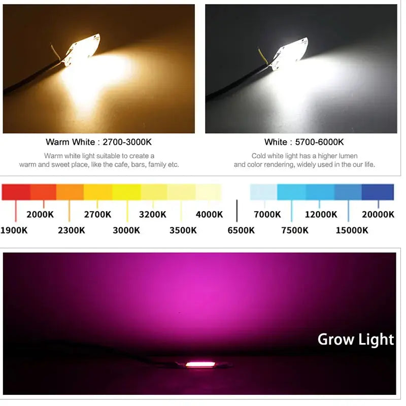 6PCS/lot COB LED Lamp Chip Diode Grow Plant Light AC 110V 220V 10W 20W 30W 50W LED Beads Lamp Box Full Spectrum No Need Driver Lighting Depot