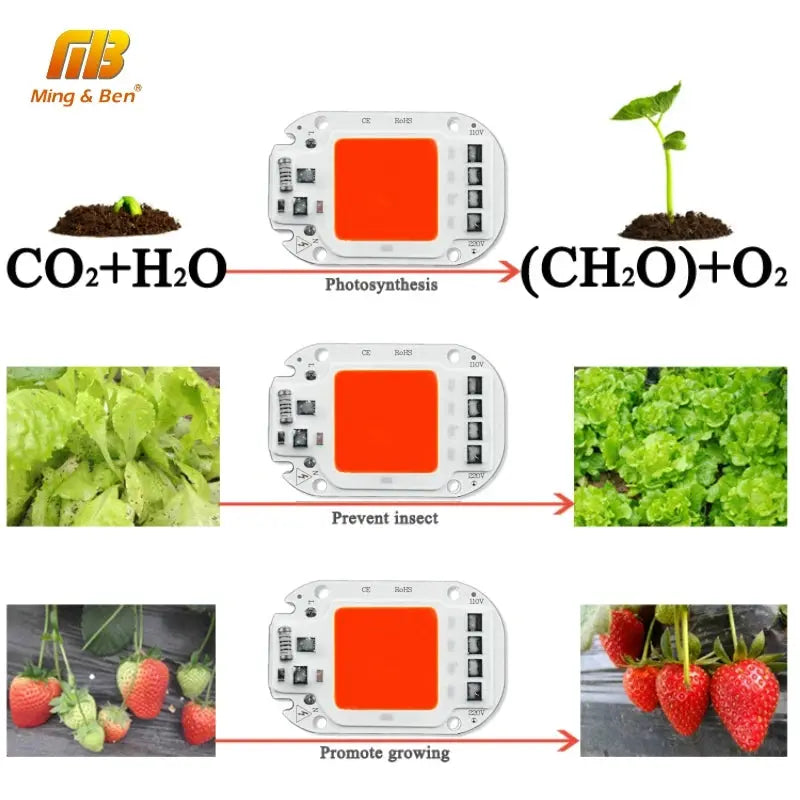 LED COB Lamp Chip 20W 30W 50W AC 110V 220V Smart IC LED Beads For DIY LED Grow Floodlight Bulb Day White Cold White Warm White Lighting Depot