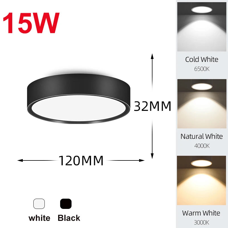 Led Downlight 25W 30W  spot led light Surface Mounted Ceiling Lamp Kitchen Lamp Indoor Lighting Fixture for Living Room Bathroom Lighting Depot
