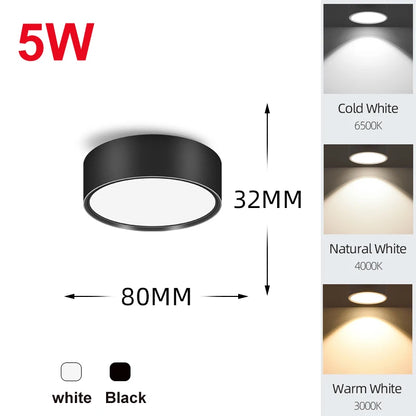 Led Downlight 25W 30W  spot led light Surface Mounted Ceiling Lamp Kitchen Lamp Indoor Lighting Fixture for Living Room Bathroom Lighting Depot