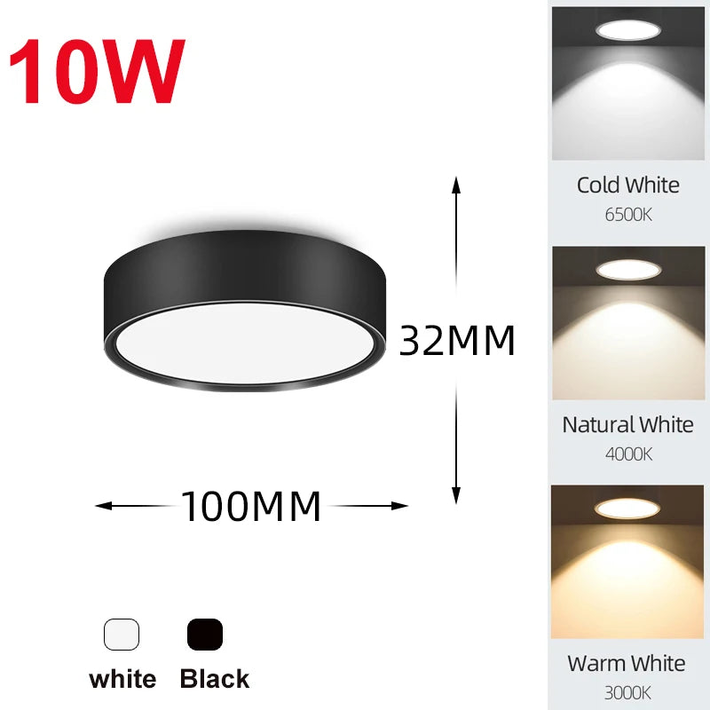 Led Downlight 25W 30W  spot led light Surface Mounted Ceiling Lamp Kitchen Lamp Indoor Lighting Fixture for Living Room Bathroom Lighting Depot