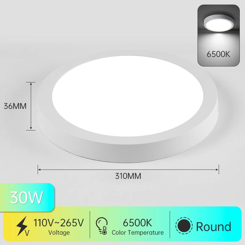 Led Downlight 25W 30W  spot led light Surface Mounted Ceiling Lamp Kitchen Lamp Indoor Lighting Fixture for Living Room Bathroom Lighting Depot