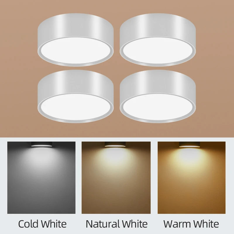 LED Ceiling Lighting 10W Surface Mounted Downlight Ceiling Lamp for Living Room Spotlight Panel Lights Kitchen Lamp AC110-265V Lighting Depot