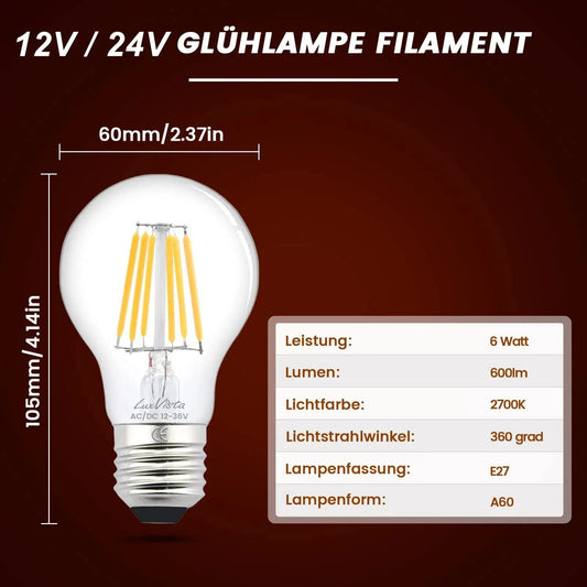 Led Lamp A19 A60 Filament Bulb Low Voltage DC 12V 24V 6 Watt Globe Led Bulb Daylight White 4500K Warm White 2700K E27 E26 Lighting Depot