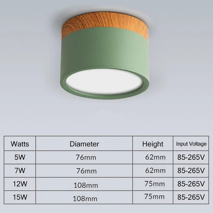 Modern LED Ceiling Lamp Surface Mount Downlights 15W 7W Spot Led for Home Lighting Fixture Kitchen Panel Light Living Bedroom Lighting Depot