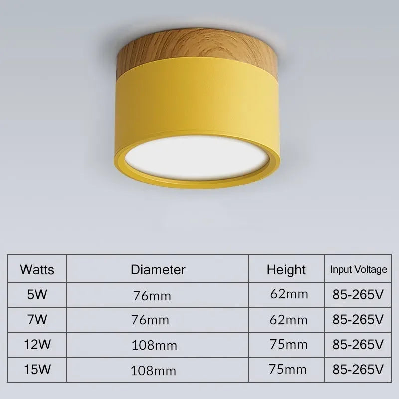 Modern LED Ceiling Lamp Surface Mount Downlights 15W 7W Spot Led for Home Lighting Fixture Kitchen Panel Light Living Bedroom Lighting Depot