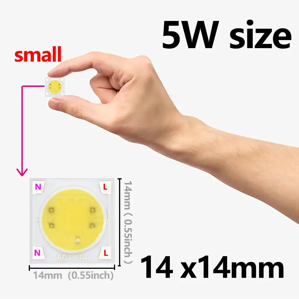 LEDCOB 5W Chip 50w led bulb High Power led 220v 10W 20W 30W light bulbs Lamp 220V LED matrix For Outdoor Indoor FloodLight White Lighting Depot