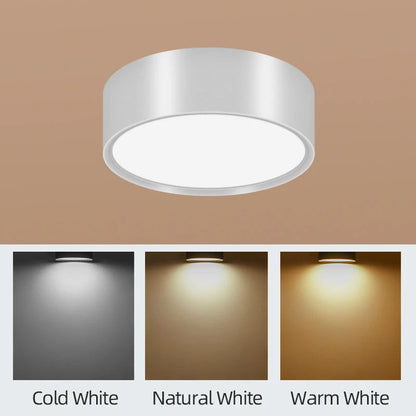 LED Ceiling Lighting 10W Surface Mounted Downlight Ceiling Lamp for Living Room Spotlight Panel Lights Kitchen Lamp AC110-265V Lighting Depot