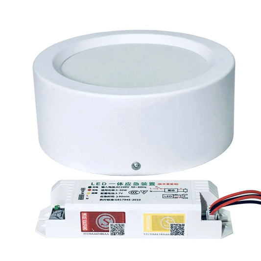 LED Emergency Light, Smart Lamp, Surface Mounted, Downlight, Lighting, Dual Surface, 5Inch, 12W Lighting Depot