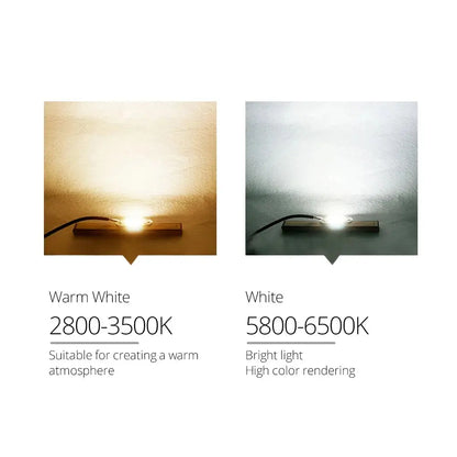 5pcs LED Chip COB lampr 20W 30W 50W AC 110V 220V No Need Driver DIY Flood light Spotlight Cold Warm White Outdoor Lamp Bead Lighting Depot