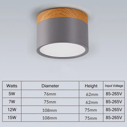 Modern LED Ceiling Lamp Surface Mount Downlights 15W 7W Spot Led for Home Lighting Fixture Kitchen Panel Light Living Bedroom Lighting Depot