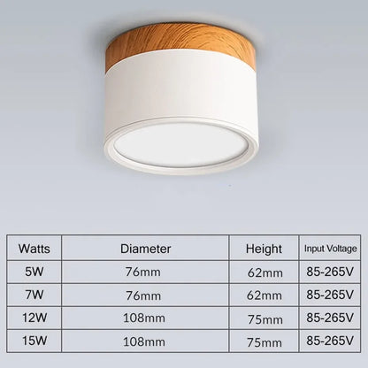 Modern LED Ceiling Lamp Surface Mount Downlights 15W 7W Spot Led for Home Lighting Fixture Kitchen Panel Light Living Bedroom Lighting Depot