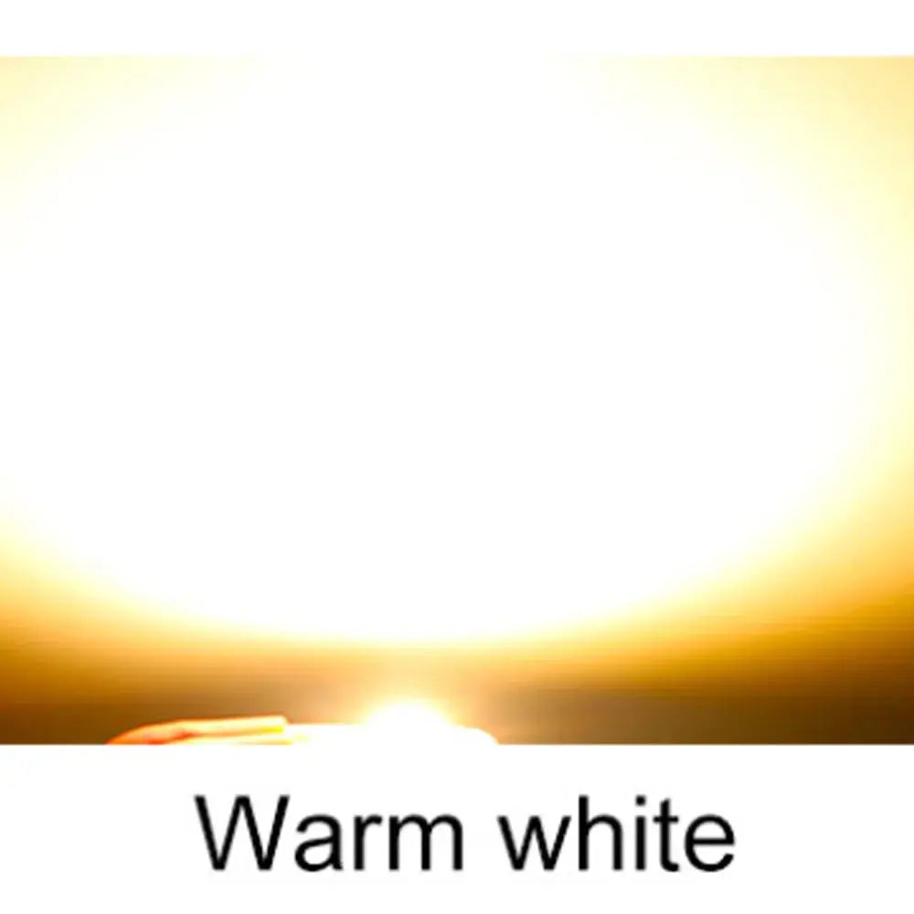 20W 30W 50W LED COB lamp Bead AC 220V IP65 Smart IC No Need Driver DIY Flood light Led Bulb Spotlight Outdoor Chip Lamp Lighting Depot