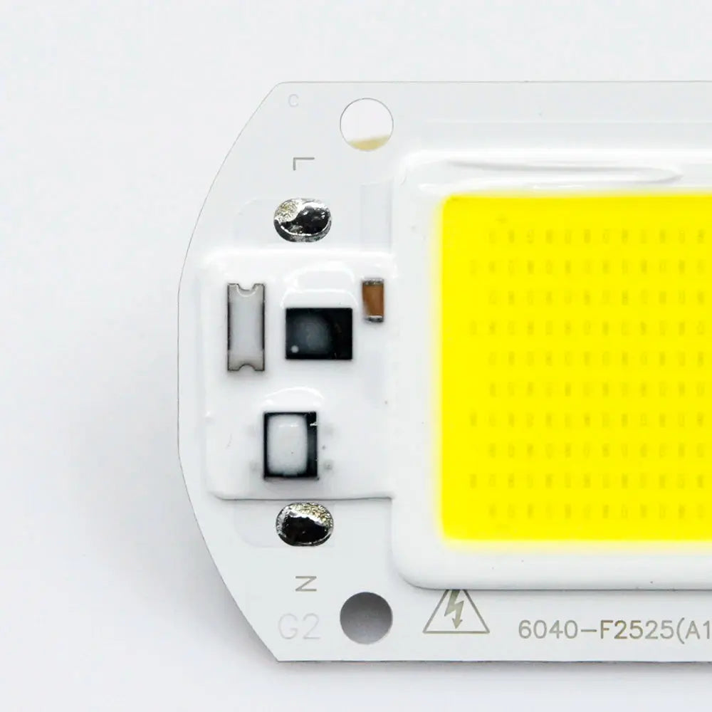 LED COB Chip 110V 220V 10W 20W 30W 50W COB Lamp Smart IC No Need Driver LED Bulb Cold/Warm white DIY Spotlight Lampada Lighting Lighting Depot