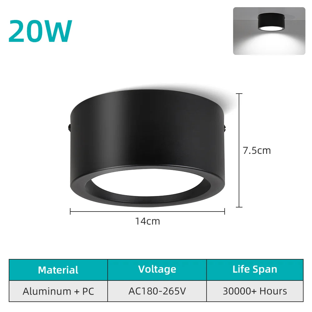 Led Downlight 25W 30W  spot led light Surface Mounted Ceiling Lamp Kitchen Lamp Indoor Lighting Fixture for Living Room Bathroom Lighting Depot