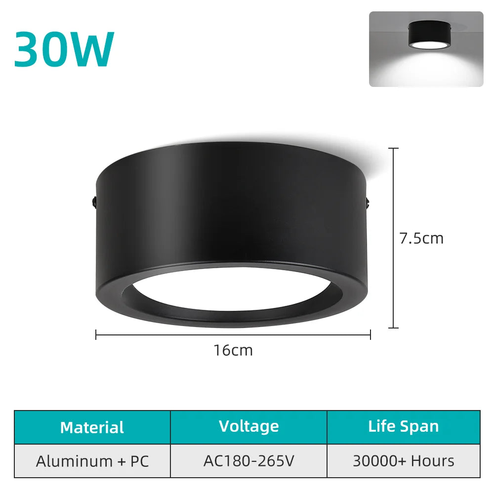 Led Downlight 25W 30W  spot led light Surface Mounted Ceiling Lamp Kitchen Lamp Indoor Lighting Fixture for Living Room Bathroom Lighting Depot