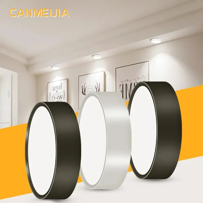 Led Downlight 25W 30W  spot led light Surface Mounted Ceiling Lamp Kitchen Lamp Indoor Lighting Fixture for Living Room Bathroom Lighting Depot