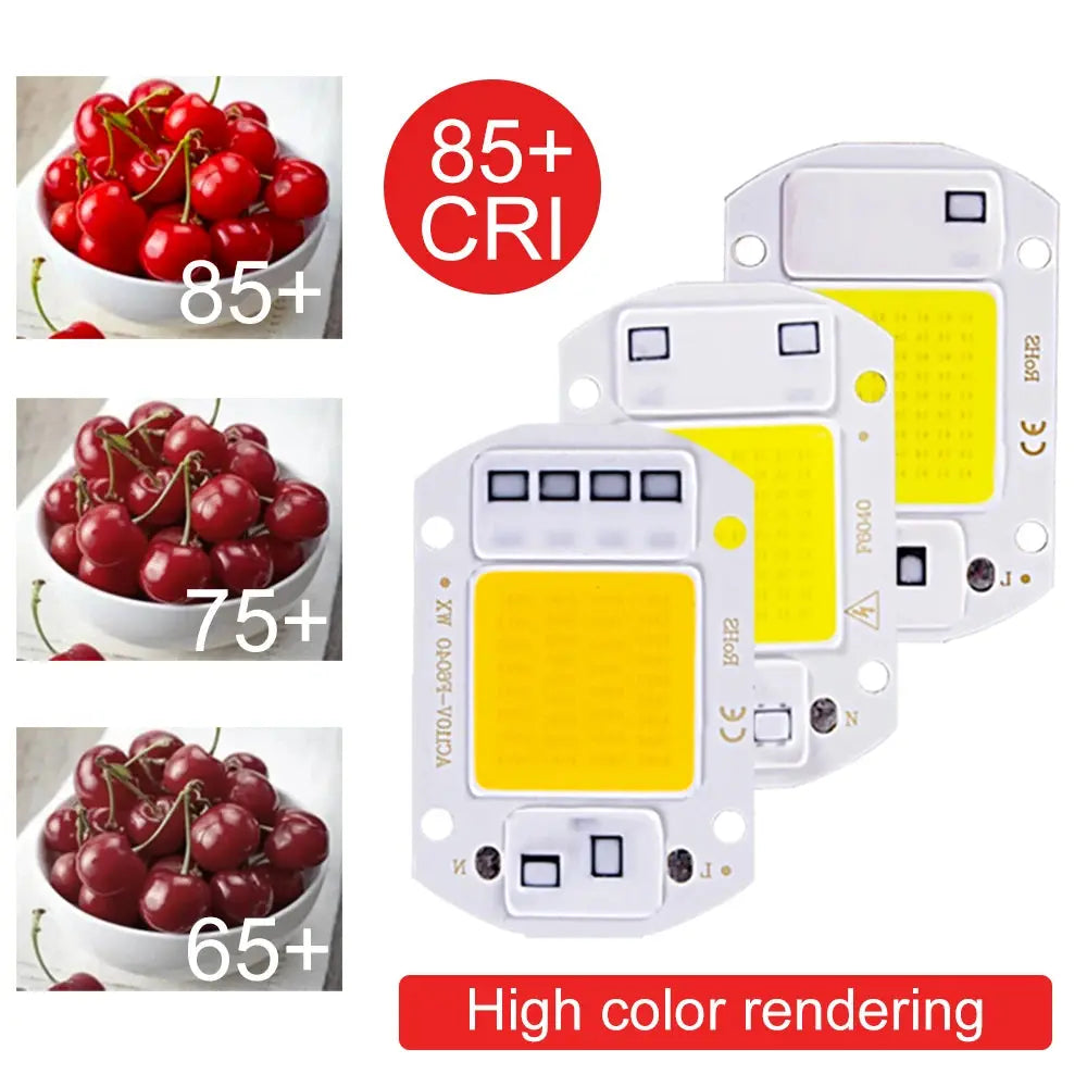 20W 30W 50W LED COB lamp Bead AC 220V IP65 Smart IC No Need Driver DIY Flood light Led Bulb Spotlight Outdoor Chip Lamp Lighting Depot